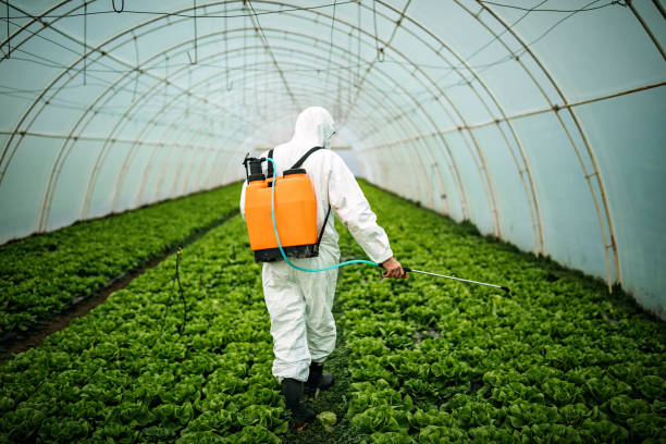 Best Commercial Pest Control Services  in Gray, TN