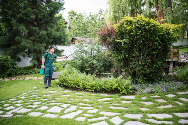 Best Local Pest Control Services  in Gray, TN