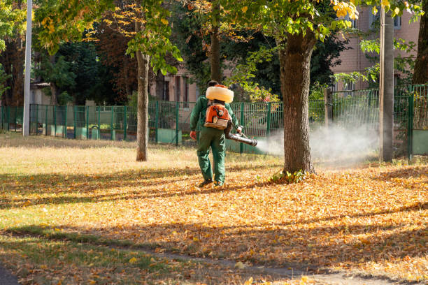 Best Pest Control Near Me in Gray, TN