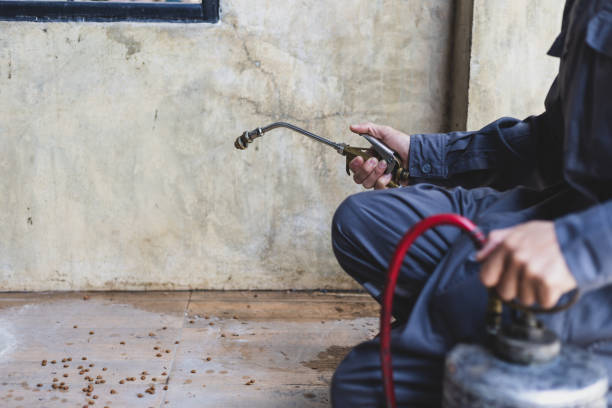 Best Mosquito Control Services  in Gray, TN